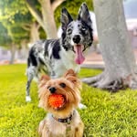 Milo & Simón PG - @milo__simonn_pg - Instagram