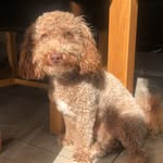 MILO SIMON - @milo.simon17 - Instagram