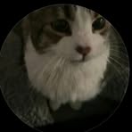 Milo Simon - Facebook