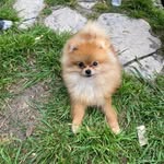 @milosimon2024 - Instagram