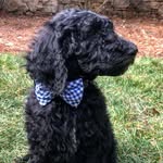 Milo Stevens - @yeahthatmilo - Instagram