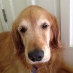 @milo_todd - Instagram