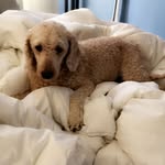 Milo Tran - @miloo.trann - Instagram