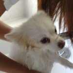 @milo_tran - Instagram