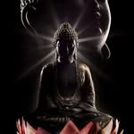 Milo Tran - @milotran27 - Instagram