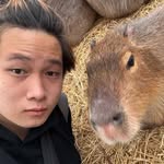 Trần Long - @milotran2811 - Instagram