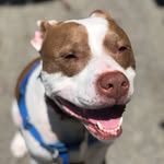 Milo Jerome Warren - @milo_jerome_warren - Instagram