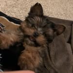 Milo Kristopher Warren - @milo_k_warren - Instagram
