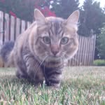 Milo Warren - @americanmilo - Instagram