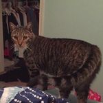 Milo - @milowinter - Instagram