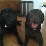Winter & Milo - @winter_and_milo - Instagram