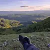 Milos Kovacevic - @miloskovacevic4 - TikTok