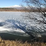 Milos Kovacevic - @milos.kovacevic.716533 - Instagram
