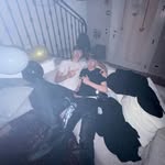 Miloš Paripović - @milos.parip - Instagram