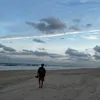 milesaellison - @milesaellison - TikTok