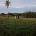 Milton Schmidt - @milton.schmidt01 - Instagram