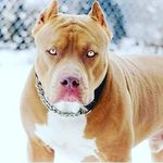 Milton Lopez - @milton_aaron_ - Instagram