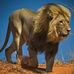 Milton Albert nhamunda - Facebook