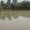 Milton Ali - @milton.ali95 - TikTok