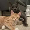 Milton & Arnold - @miltandarnie - TikTok