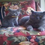 Milton_Arnold - @milton_arnoldu - Instagram