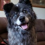 Milton Bauer - @miltsky2 - Instagram