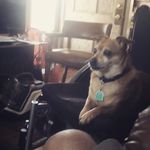 Milton Bearden - @milton.bearden - Instagram