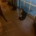 Milton Blount Blount - Facebook