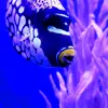 Blue Milton - @blue.milton - TikTok