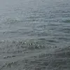 Milton Blue - @milton.blue - TikTok