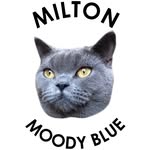 Milton Moody Blue - @milton.moody.blue - Instagram