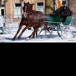 @milton_bryant - Instagram