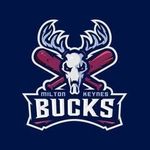 Milton Keynes Bucks Baseball Club - @miltonkeynesbucks - Instagram