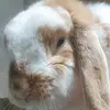 Milton - @miltonbunny - TikTok