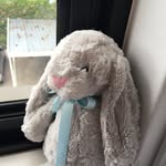 Milton Sperger - @miltonthebunny - Instagram