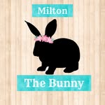🥕 - @milton_the_bunny - Instagram