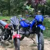 miltonbunnyax - @miltonbunnyax - TikTok