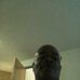 Milton Clay - Facebook