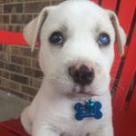 Milton Cobb - @milton.cobb - Instagram