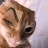 Miltoncraft - @miltoncraft1 - TikTok