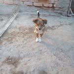 Milton pueller - @puellermilton - Instagram
