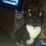 Milton Ferguson - @jonny_conga - Instagram