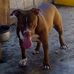 Milton Ferguson - Facebook