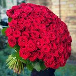 Milton - @miltons_flowers - Instagram
