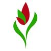 miltonsflowersandgifts - @miltonsflowersandgifts - TikTok