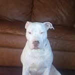 Milton Franklin - @franklin_milton - Instagram