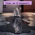 Milton Fuentes - @milton.fuentes - Instagram