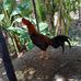Milton Fuentes - Facebook