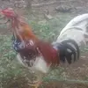 Milton Garces - @milton.garces - TikTok