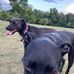 Milton Gilbert - Facebook
